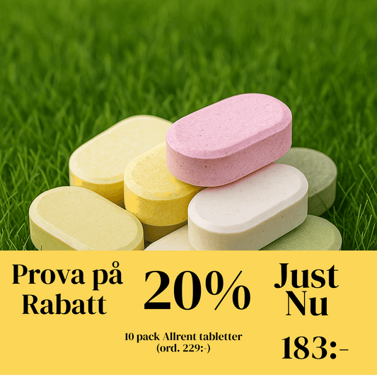 EkoSpray Citrus 📦 10 - Pack Box